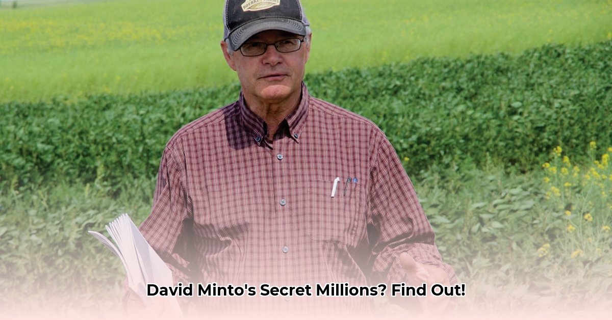david-minto-net-worth